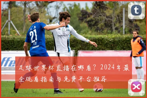 足球世界杯直播在哪看?2024年最全观看指南与免费平台推荐